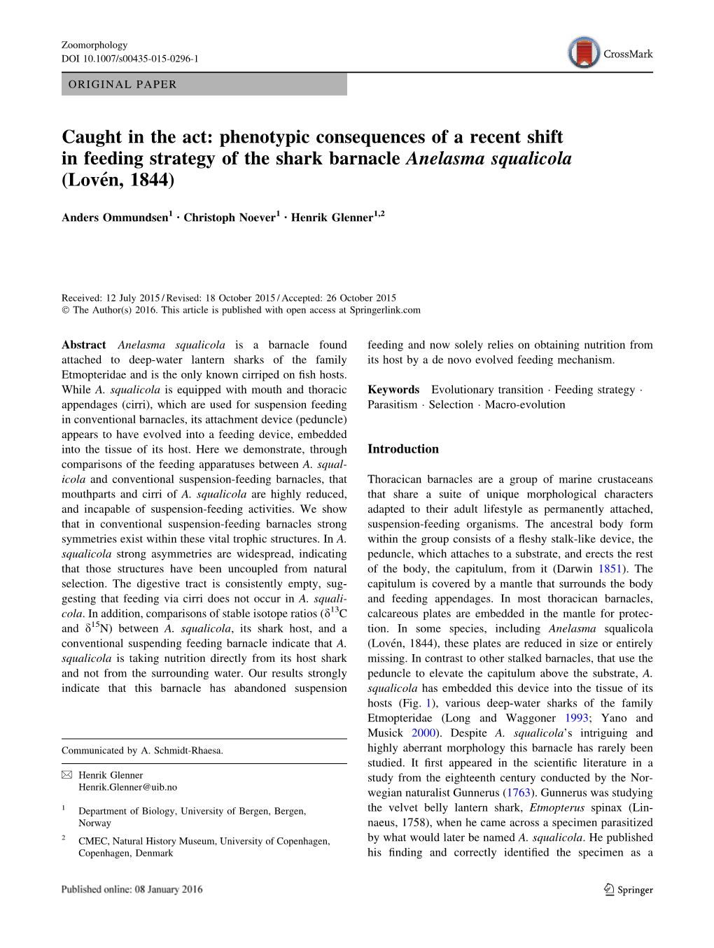 Phenotypic Consequences of a Recent Shift in Feeding Strategy of the Shark Barnacle Anelasma Squalicola (Love´N, 1844)