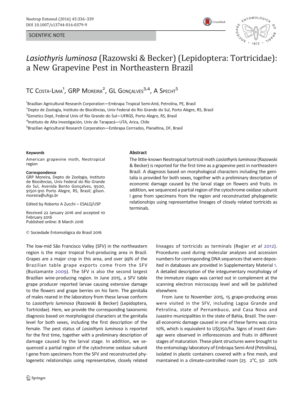 Lasiothyris Luminosa (Razowski & Becker) (Lepidoptera: Tortricidae