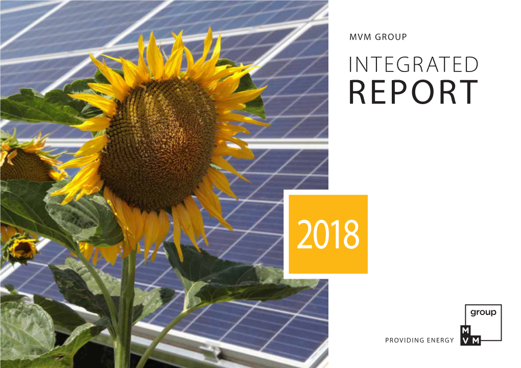 Mvm Group Integrated Report