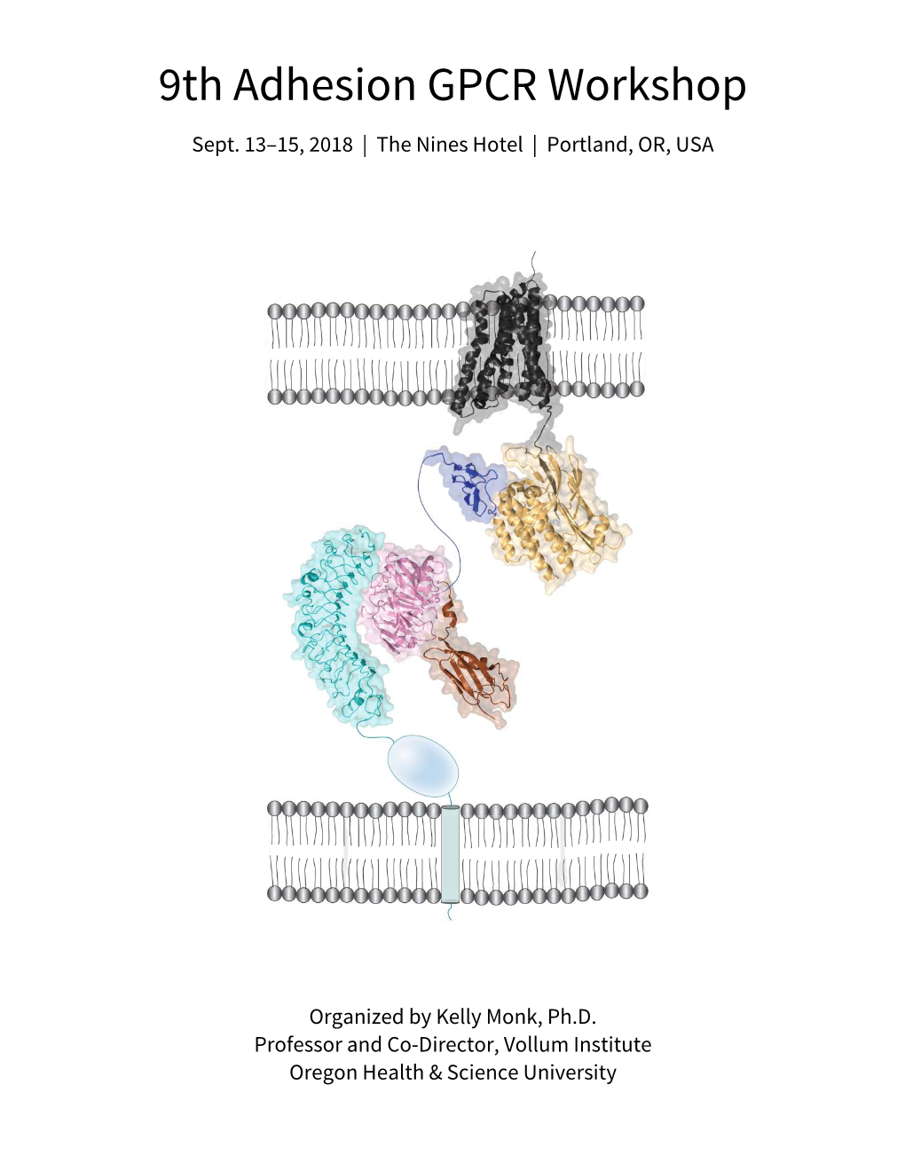 9Th Adhesion GPCR Workshop