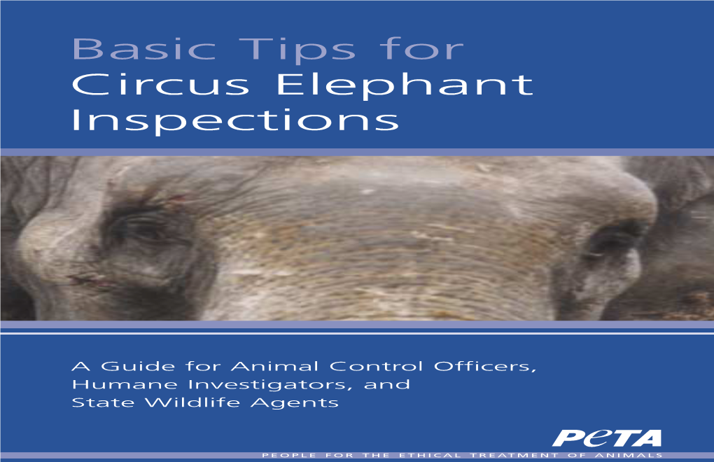 Basic Tips for Circus Elephant Inspections 3