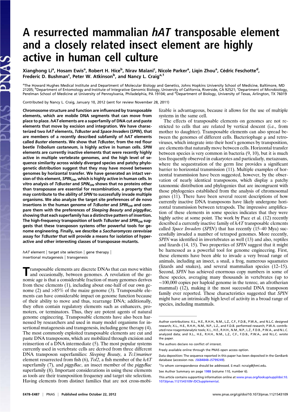 A Resurrected Mammalian Hat Transposable Element and a Closely Related Insect Element Are Highly Active in Human Cell Culture