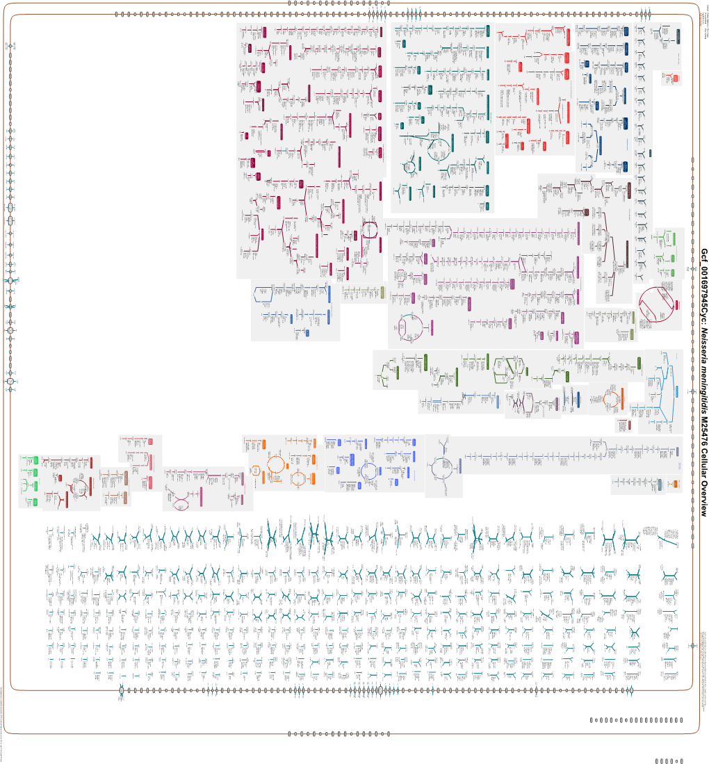 Generated by SRI International Pathway Tools Version 25.0, Authors S