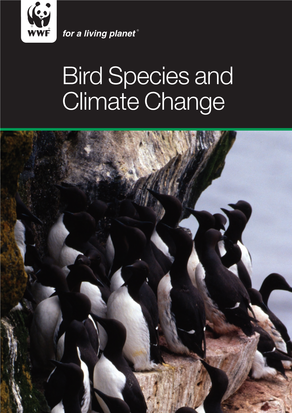 Bird Species and Climate Change © WWF-Australia