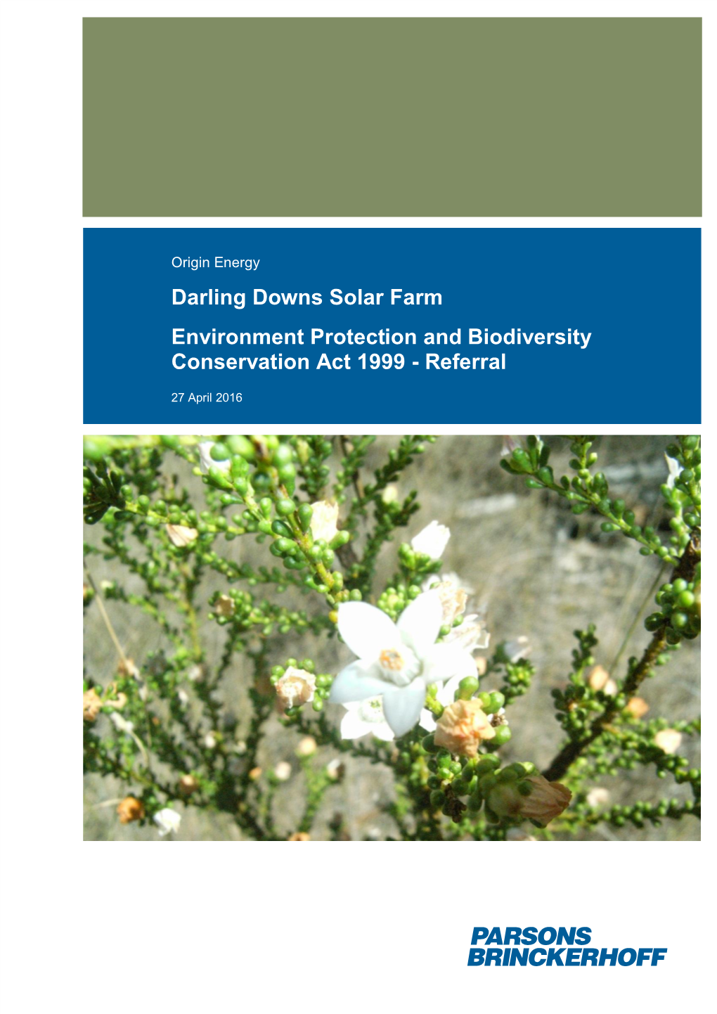 Darling Downs Solar Farm Environment Protection and Biodiversity Conservation Act 1999 - Referral