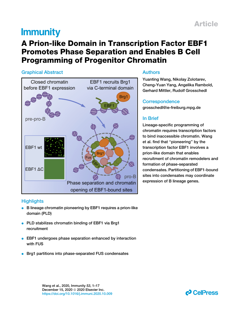 A Prion-Like Domain in Transcription Factor EBF1 Promotes Phase Separation and Enables B Cell Programming of Progenitor Chromatin