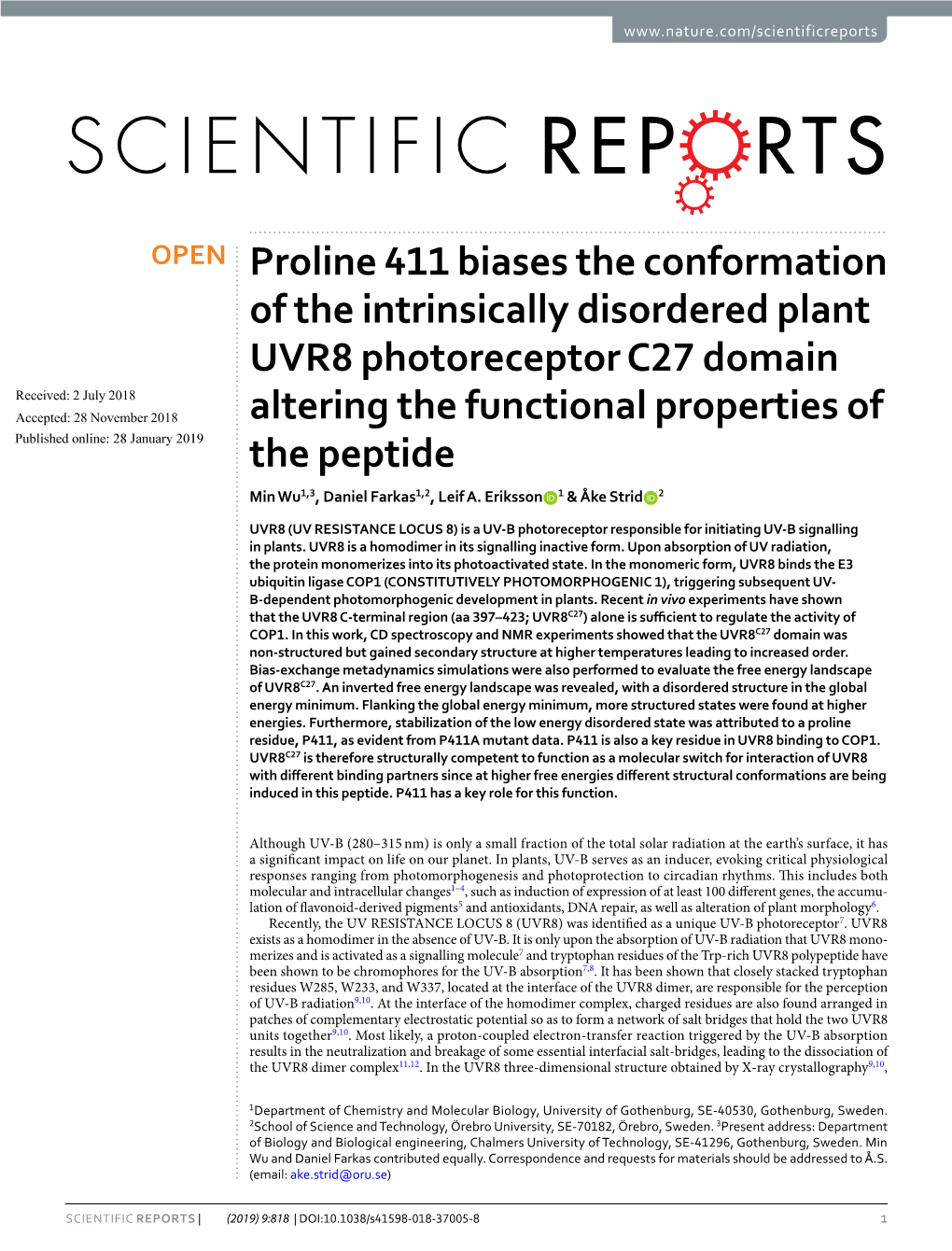 Proline 411 Biases the Conformation of the Intrinsically Disordered Plant