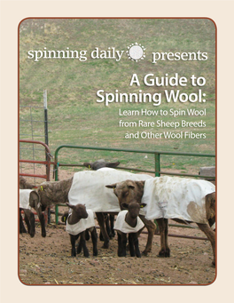 Learn How to Spin Wool from Rare Sheep Breeds and Other Wool Fibers