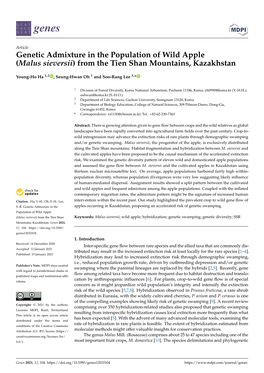 Genetic Admixture in the Population of Wild Apple (Malus Sieversii) from the Tien Shan Mountains, Kazakhstan