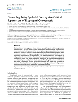 Genes Regulating Epithelial Polarity Are Critical Suppressors of Esophageal Oncogenesis Xiu-Min Li1, Hui Wang2, Li-Li Zhu1, Run-Zhen Zhao3, Hong-Long Ji3,4