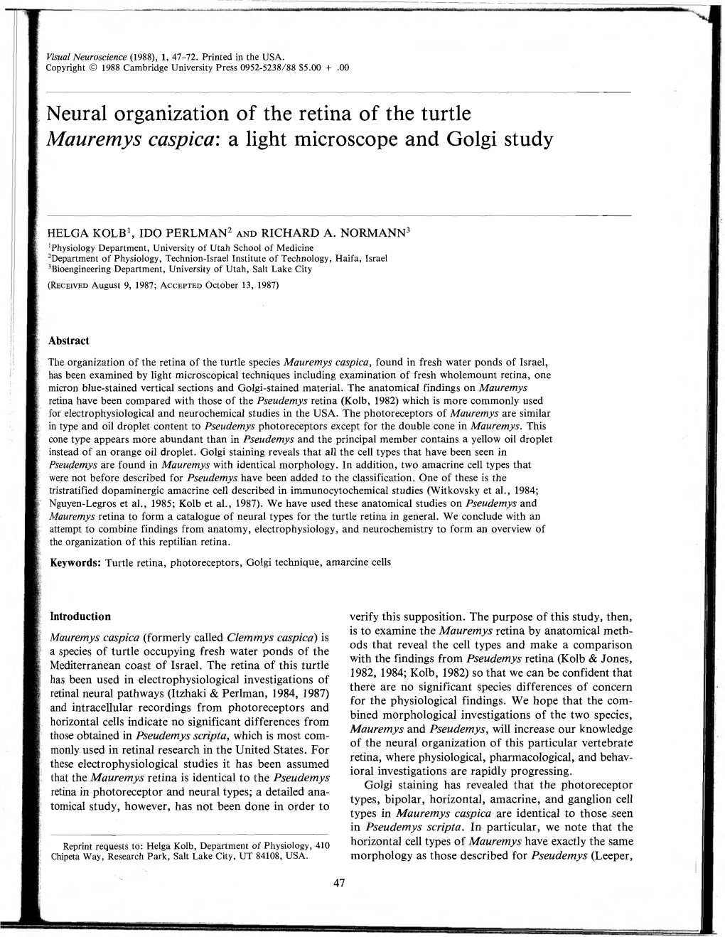 Neural Organization of the Retina of the Turtle Mauremys Caspica: a Light Microscope and Golgi Study