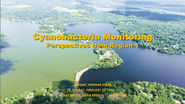 Cyanobacteria Monitoring Perspectives from Region 1