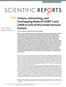 Unique, Intersecting, and Overlapping Roles of C/EBP Β and CREB In