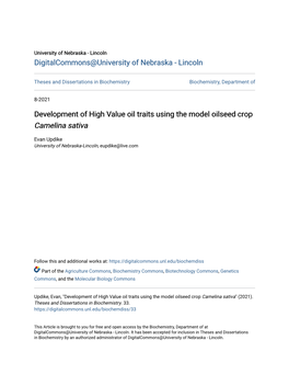 Development of High Value Oil Traits Using the Model Oilseed Crop Camelina Sativa