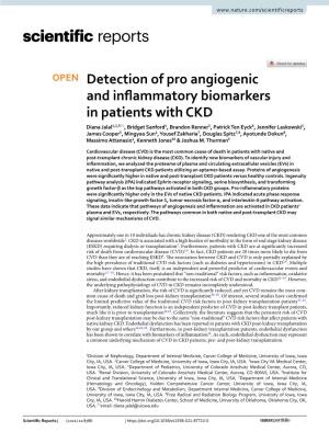 Detection of Pro Angiogenic and Inflammatory Biomarkers in Patients With