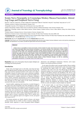 Sciatic Nerve Neuropathy in Cynomolgus Monkey Macaca