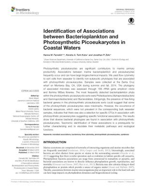 Identification of Associations Between Bacterioplankton and Photosynthetic Picoeukaryotes in Coastal Waters
