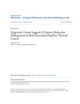 Epigenetic Events Suggest a Distinct Molecular Pathogenesis in Braf-Associated Papillary Thyroid Cancer Ogechukwu Eze Yale School of Medicine, Ogechukwu.Eze@Gmail.Com