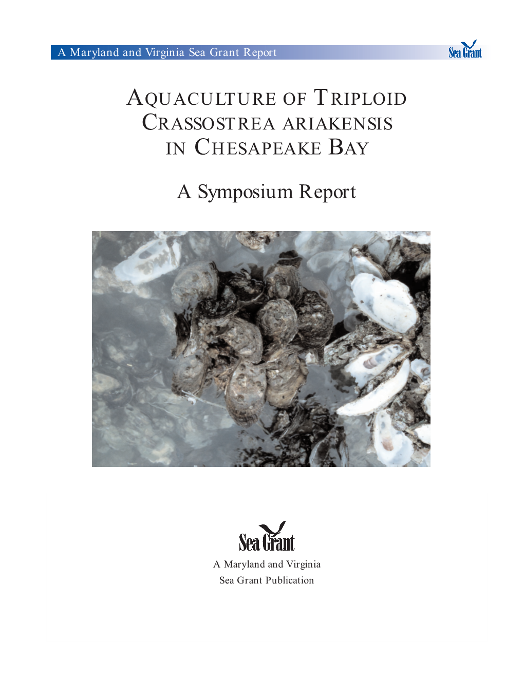 Aquaculture of Triploid Crassostrea Ariakensis in Chesapeake Bay