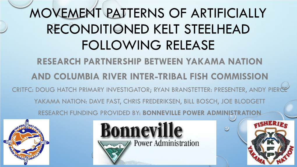 Movement Patterns of Artificially Reconditioned Kelt Steelhead