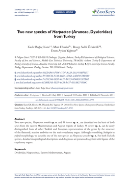 Two New Species of Harpactea (Araneae, Dysderidae) from Turkey