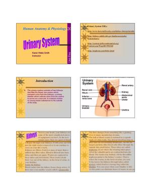Human Anatomy & Physiology Introduction
