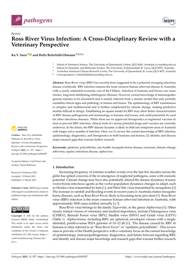 Ross River Virus Infection: a Cross-Disciplinary Review with a Veterinary Perspective