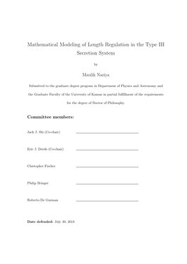 Mathematical Modeling of Length Regulation in the Type III Secretion System