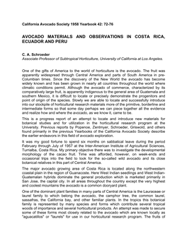 Avocado Materials and Observations in Costa Rica, Ecuador and Peru
