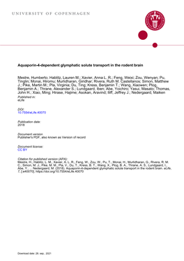 Aquaporin-4-Dependent Glymphatic Solute Transport in the Rodent Brain