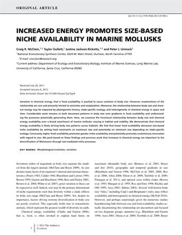 Increased Energy Promotes Sizebased Niche Availability