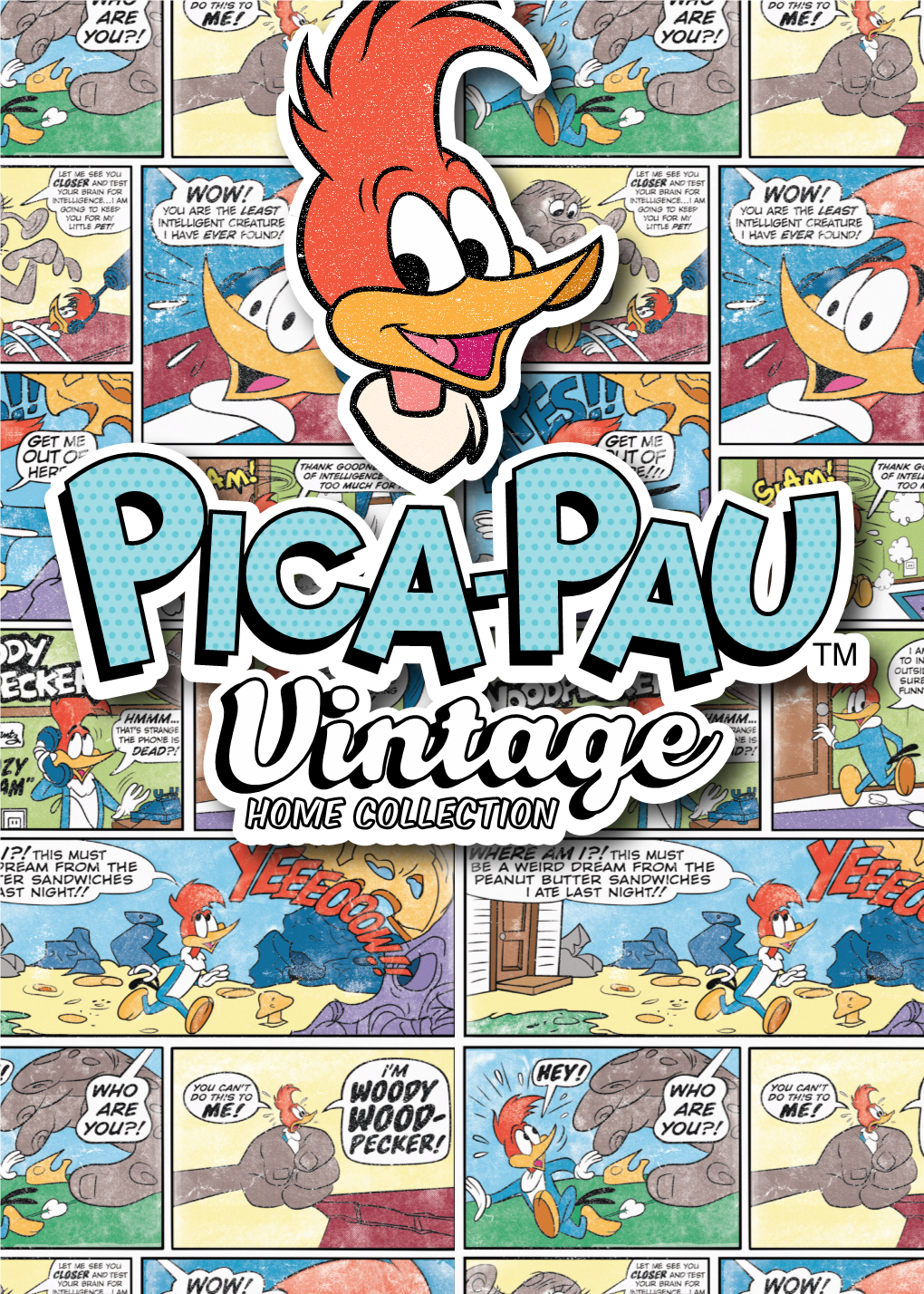 O Pica-Pau (Em Inglês Woody Woodpecker) É O Nome De Um Personagem De Desenho