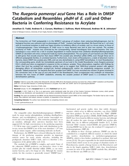 The Ruegeria Pomeroyi Acui Gene Has a Role in DMSP Catabolism and Resembles Yhdh of E