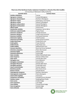 Plant List of the Northeast Swale, Saskatoon Compiled As a Result Of