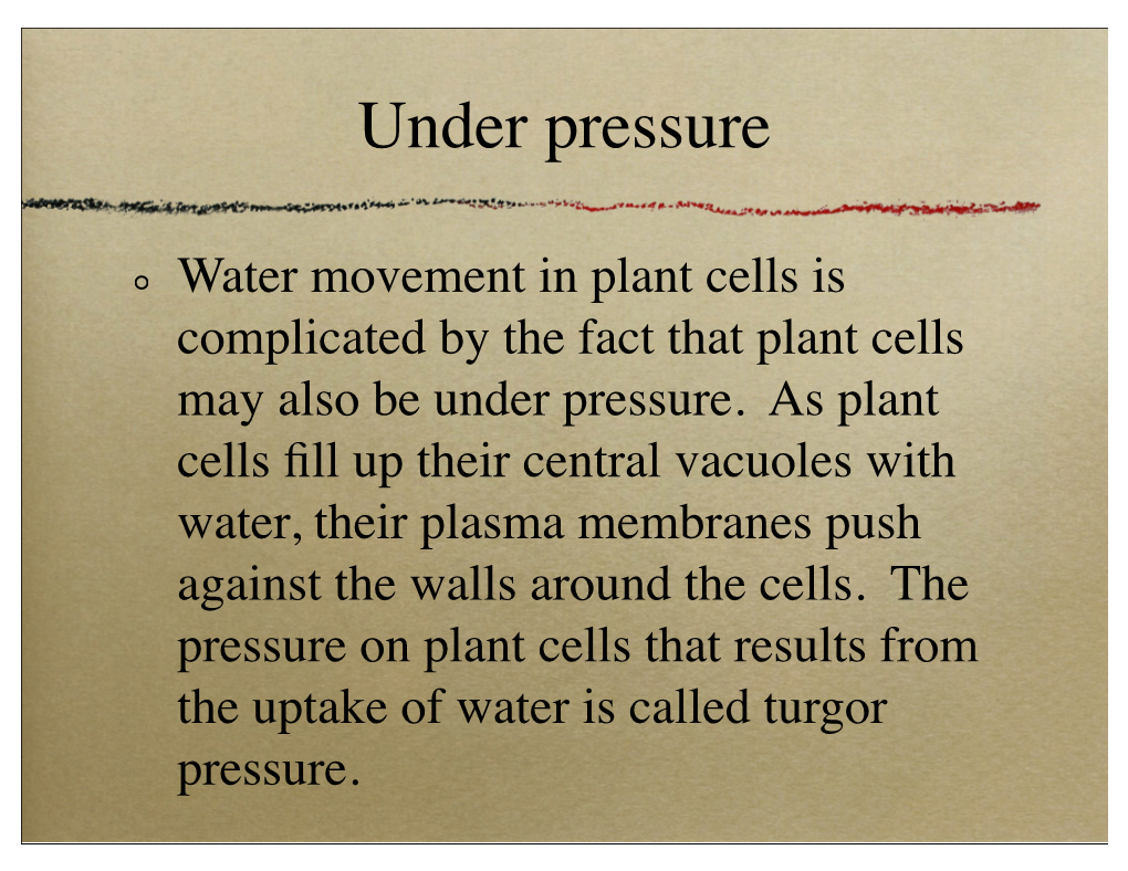 Pressure, Turgor Pressure, Water Potential.Pdf