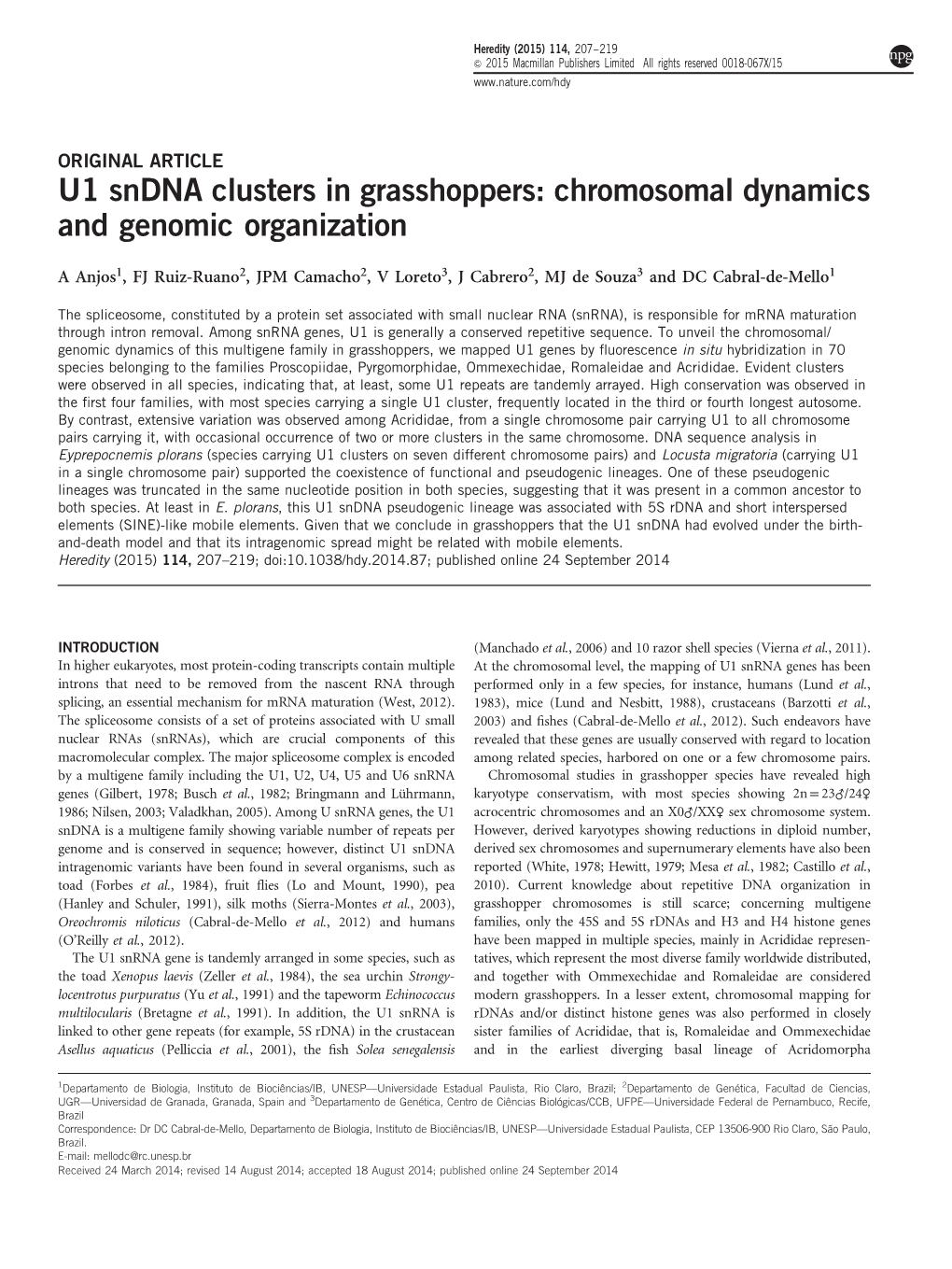 U1 Sndna Clusters in Grasshoppers: Chromosomal Dynamics and Genomic Organization