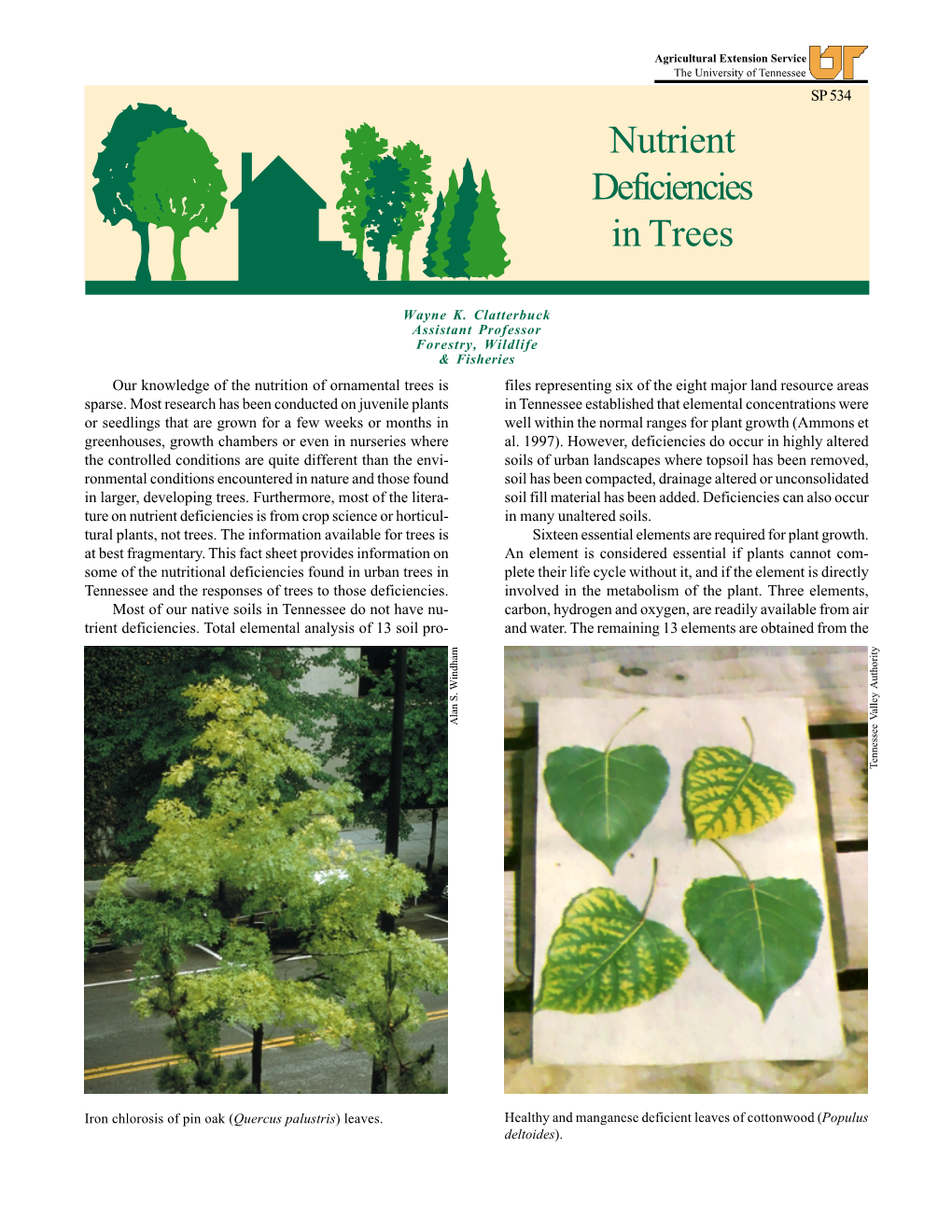Nutrient Deficiencies in Trees