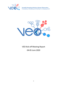 VEO Kick-Off Meeting Report 04-05 June 2020