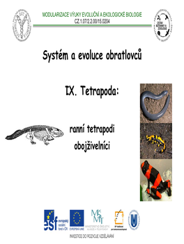 Systém a Evoluce Obratlovců IX. Tetrapoda