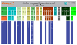 Viewpoint Guildford Landscape Character Assessment What’S Yours? Hierachy Table
