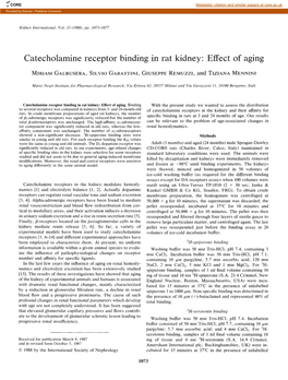 Catecholamine Receptor Binding in Rat Kidney: Effect of Aging