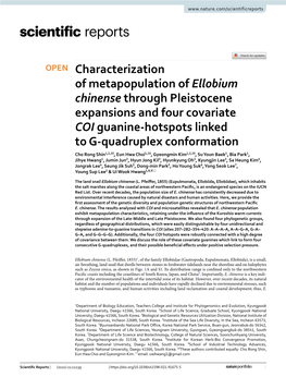 Characterization of Metapopulation of Ellobium Chinense Through