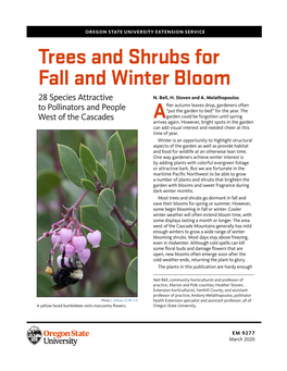 Trees and Shrubs for Fall and Winter Bloom 28 Species Attractive N