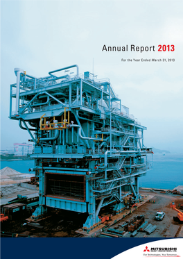 Annual Report 2013