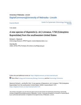 A New Species of &lt;I&gt;Buprestis&lt;/I&gt; (S. Str.) Linnaeus, 1758 (Coleoptera