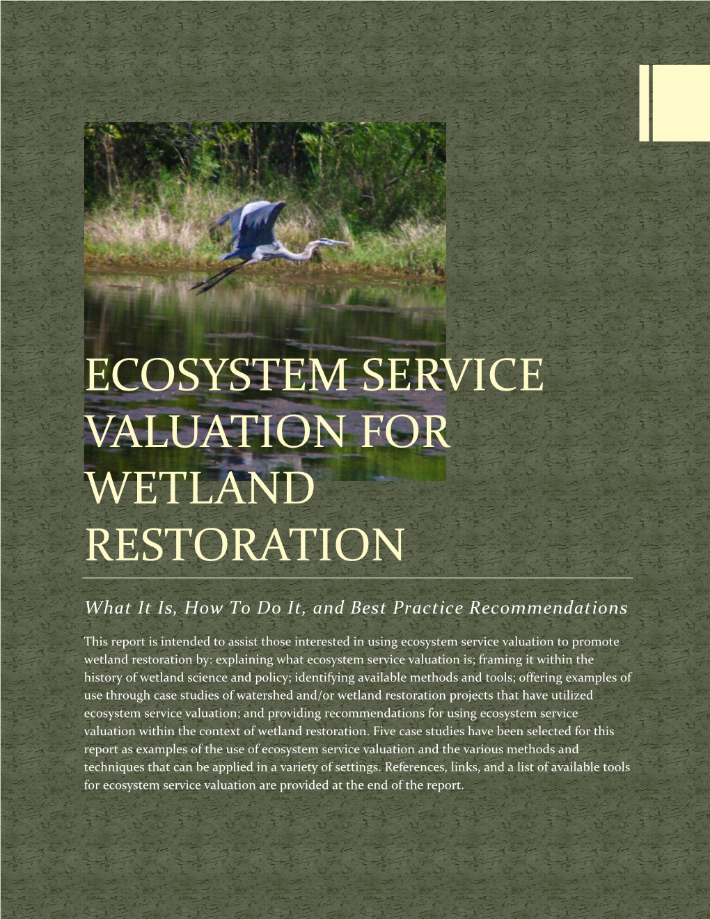 Ecosystem Service Valuation for Wetland Restoration