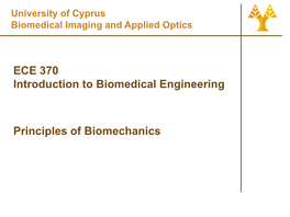 Biomechanical Analysis