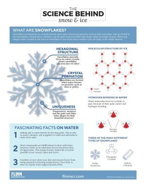 Snowflake Infographic V5