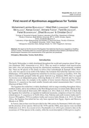First Record of Nyctinomus Aegyptiacus for Tunisia