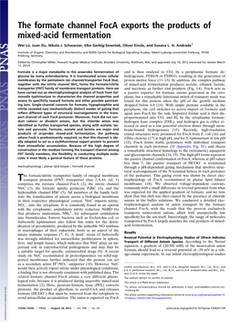 The Formate Channel Foca Exports the Products of Mixed-Acid Fermentation